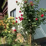 דירה Rosengarten