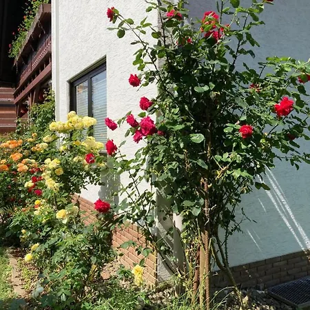 Apartman Rosengarten