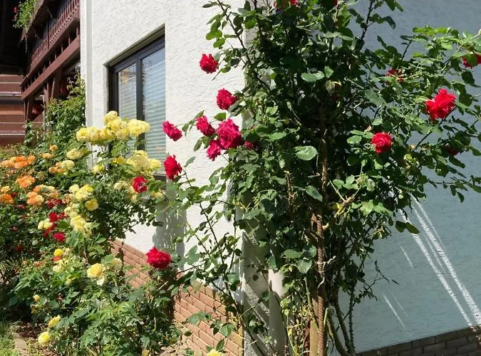 Apartment Rosengarten