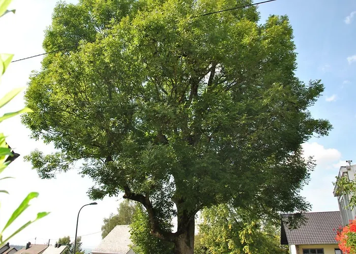 Rosengarten Apartamento Osburg